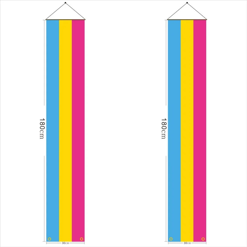 Paire de bannieres de porte au drapeau pansexuel, 180 x 30 cm