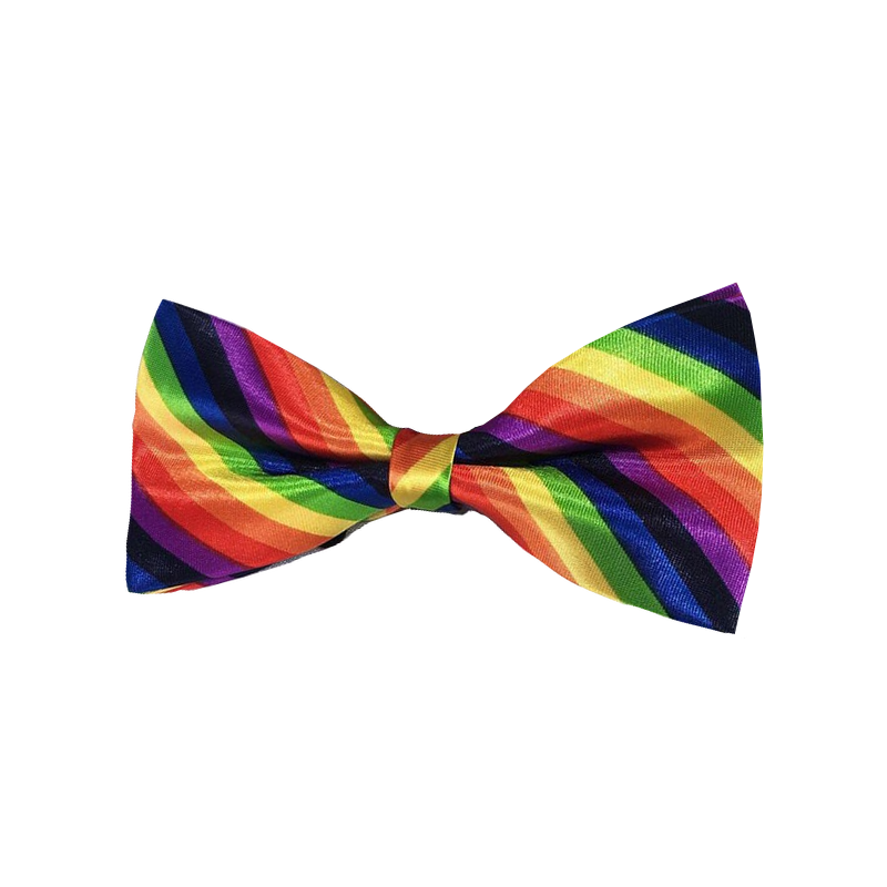 Noeud Papillon LGBT