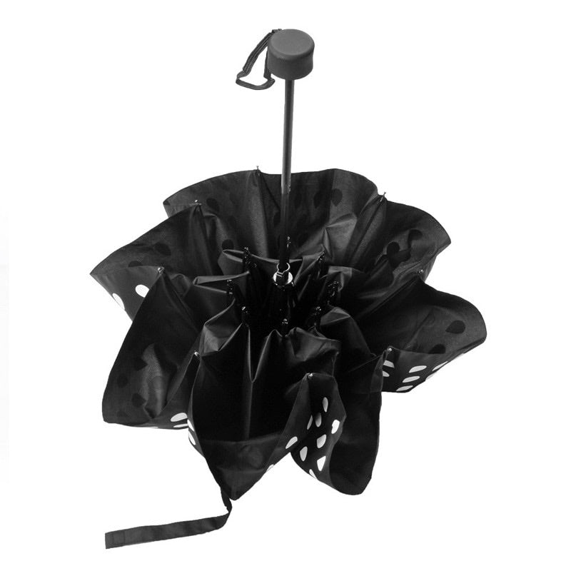 Parapluie Magique