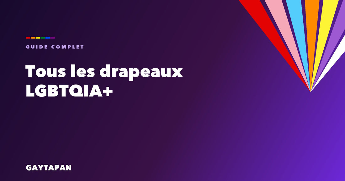 Guide complet GAYTAPAN — tous les drapeaux LGBTQIA+ et leur signification