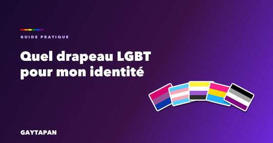 Guide pratique GAYTAPAN — quel drapeau LGBT correspond à mon identité, cinq drapeaux en éventail