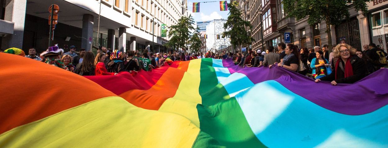 Petits Drapeaux LGBT (x10)