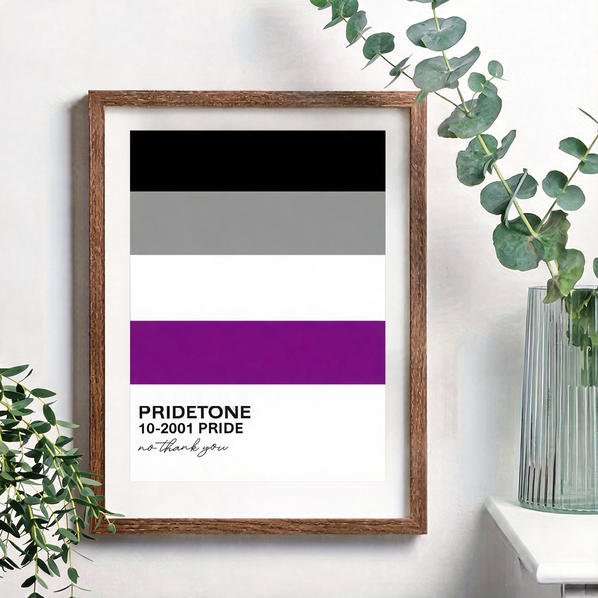 Affiche du drapeau asexuel en nuancier Pride, noir, gris, blanc et violet, légende « no thank you », cadre bois non inclus