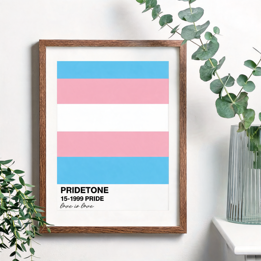 Affiche du drapeau transgenre en nuancier Pride, bleu ciel, rose et blanc, dans un cadre bois non inclus sur un mur blanc