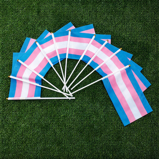 Petits Drapeaux Transgenre pour la Pride