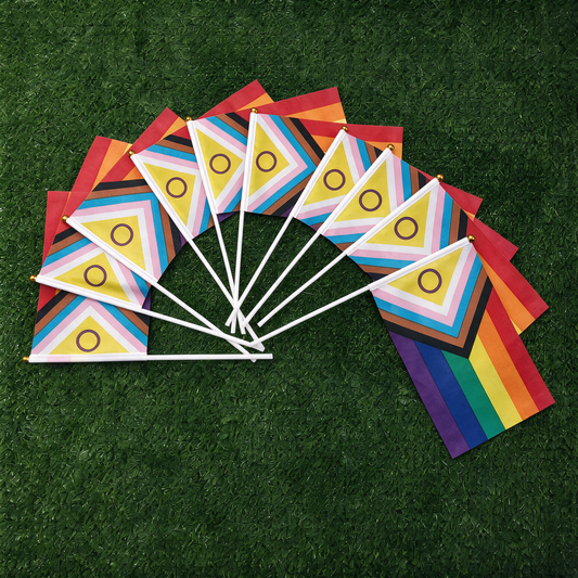 Petits drapeaux lgbt progress pride intersexe