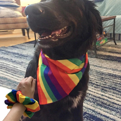 Bandana LGBT pour Chien et Chat — Arc-en-ciel