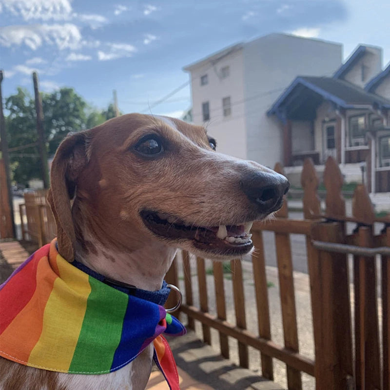 Bandana LGBT pour Chien et Chat — Arc-en-ciel