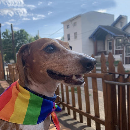 Bandana LGBT pour Chien et Chat — Arc-en-ciel