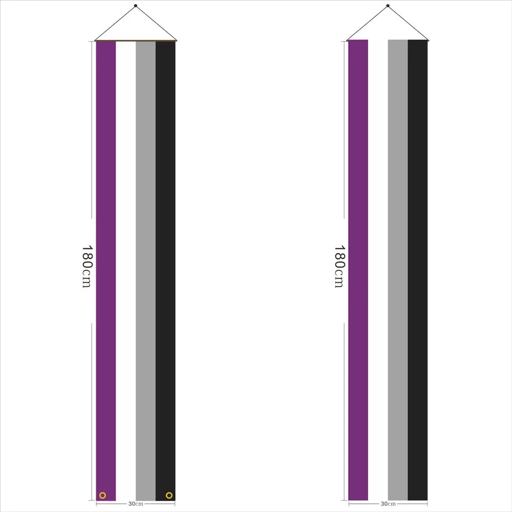 Paire de bannieres de porte au drapeau asexuel, 180 x 30 cm