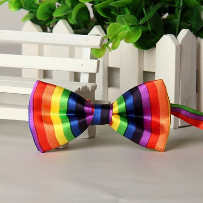 Noeud Papillon Multicolore