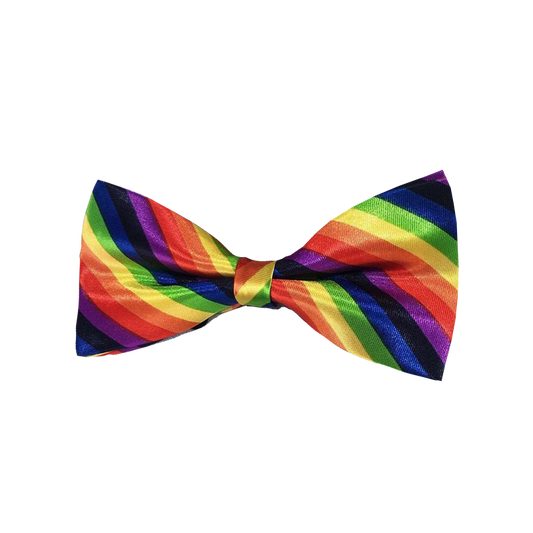 Noeud Papillon LGBT