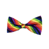 Noeud Papillon LGBT