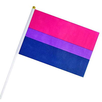 Petits Drapeau Bisexuel