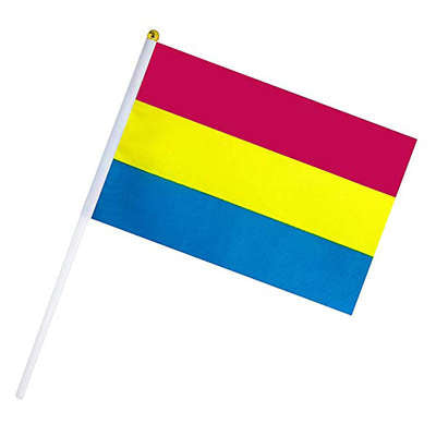 Petits Drapeaux Pansexuel